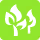 林